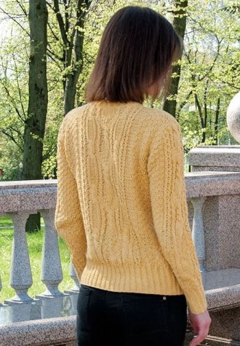 pulli 411 2