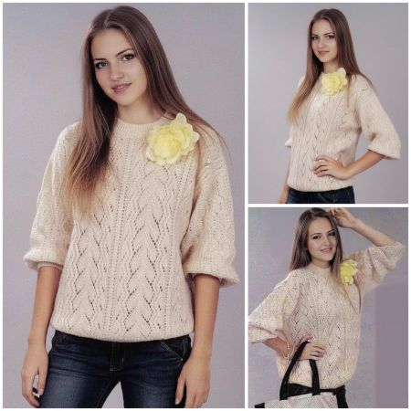 pulli 423 1