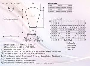 Pulli schrift