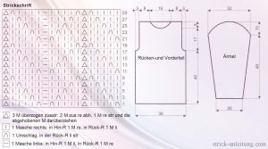 Pulli esquema
