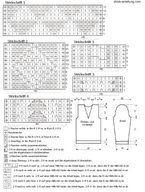pulli schema