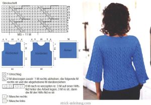 Pulli shema