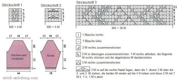 Pulli schrift