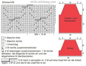 pulli schrift