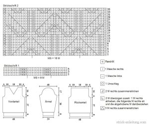 pulli schrift