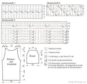 pulli schrift