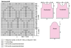 pulli schrift
