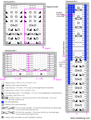 pulli schrift
