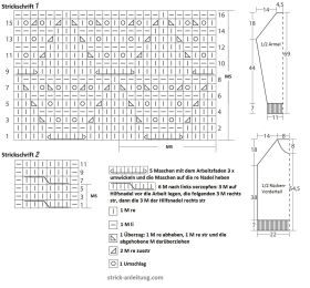 Pullover  schrift 