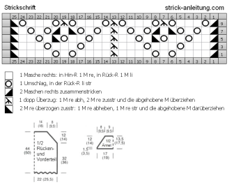 Top im Ajourmuster Strickschrift