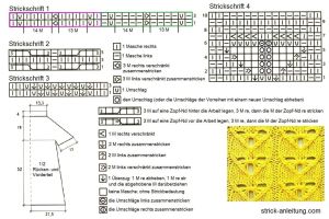 tunika schrift